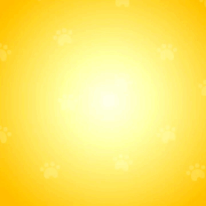 Vitality Dog Shampoo and Conditiomer Available in Citrus Green Tea and Coconut