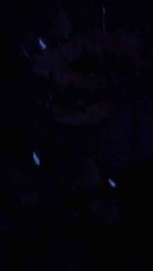 Dây đèn Led nháy rèm banh cầu tuyết trang trí Giáng Sinh Noen (cắm điện)