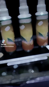 Son Polish Pengkilap Motor Mobil 200 Ml