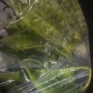 PETE/PEUTEUY PER IKAT 10 PAPAN UNTUK MENJAGA KEPADATAN TLG