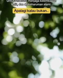 Minyak zaitun mustika ratu 175ml