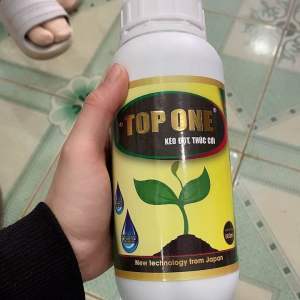 TOP ONE-KÉO ĐỌT THÚC CƠI đâm chồi phát đọt mạnh lá xanh dầy bóng khỏe