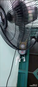 ( QUẠT TREO BẠC ĐẠN 6200 - 2 dây 100% dây đồng tại shop YOURFAN ) (do Cty TNHH NEW USS sản xuất) mode TK2D Bao êm-Bao xài-Bao bền bảo hành động cơ 5 năm (không đứng cốt)bảo hành tại237/71 TrịnhĐìnhTrọng PhúTrung Tân Phú HCM