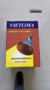 หลอดไฟอินฟาเรดกกไก่ กกหมู กกสัตว์เลี้ยง100วัตต์150วัตต์200วัตต์250วัตต์ ขั้วE27
