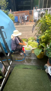 ผักกาดดอง 500 g. วิทย์เฮงๆปังๆ