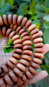 Tasbih Kayu Setigi Motif Pipih Original Size 12-16mm
