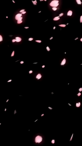 Dodol Garut Aneka Rasa Dodol Garut Premium Manis Legit dan Lezat