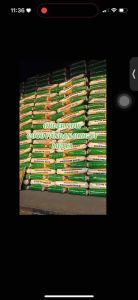 Authentic Coco Pandan Rice Bigas from Mutya Rice Mill Imported from Vietnam available in 25KG 10KG 5KG