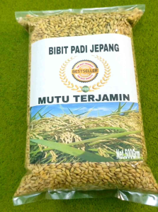 Benih padi jepang japonica unggul per 500 grm