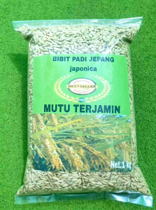 Benih padi jepang japonica super unggul 1 kg Padi Super Untuk Pertanian Benih Padi Kualitas Terbaik Warranty Service Center Lokal - Lazada