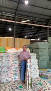 MATRAS LIPAT PLAYMAT BAYI MOTIF BOLAK BALIK KASUR TIKAR KARPET BAYI BERMAIN ANAK KARPET LANTAI XPE 100% ASLI Tebal 10mm