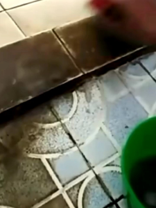pembersih jamur air kotoran hilang cukup di kuas aja untuk keramik toilet mesin motor mobil kaca plastik piber dan lain2