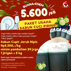 PAKET USAHA MURAH SABUN CUCI