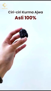 Kurma King Ajwa King Salman Asli Dari Madinah