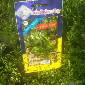 เมล็ดพันธุ์หอมแย้(เมล็ดพันธุ์ตราสามเอ)