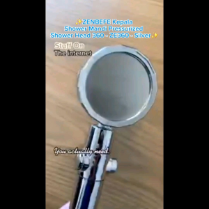 ZENBEFE Kepala Shower Mandi Pressurized Shower Head 360 - ZE360 - Silver