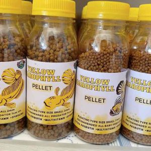 BEST PRODUK MARULIODES Pelet Ikan Channa Yellow Sentarum PROGRES YELLOW
