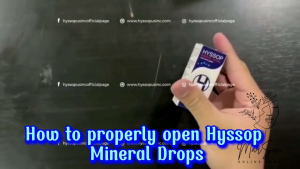 Original Hyssop Global Mineral Drops 15ml - Premium Mineral Support for Immunity and Eye Ear Nose & Throat
