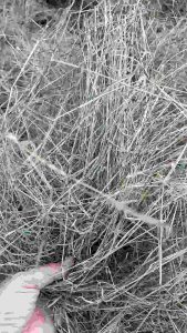 หญ้าแพงโกล่าแห้งเกรดพรีเมี่ยม AAA สั่งทำพิเศษ สำหรับกระตุ้นฟรี ฟรี ใช้งานสูงสุด สำหรับฟาร์มกระต่าย