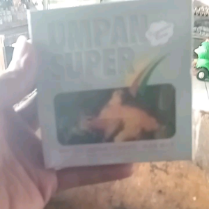 UMPAN SUPER TOMBRO KOTAK