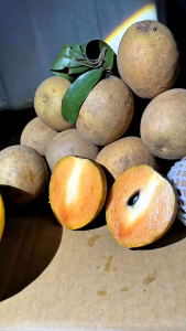 Buah Sawo Manis Coklat Sempurna 1 KG | Mexican Sapodillas | Buah Segar Manis Alami