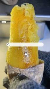 !!!!!มันหวานญี่ปุ่น (1KG)สายพันธุ์ คุริ โคกาเนะ คละไซส์ กลิ่นหอม รสชาติหวาน เนื่อฉ่ำ เพื่อสุขภาพ ออร์แกนิค 100%!!!!! โปรจัดส่งฟรี