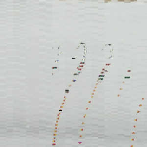 kail urek siap pakai urek belut sawah sidat panjang senar -+120cm