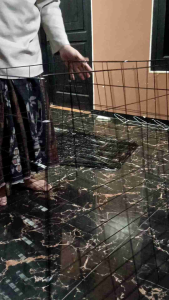 Kurung Ayam Piramide