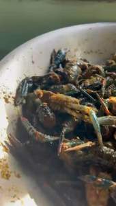 Crayfish LOBSTER AIR TAWAR MASAK SAMBAL SERAI. 300g