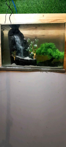 Thác cát 1 dòng cho bể cá kèm máy và cát