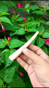 Pipa Pirok Cangklong Kayu Kopi Asli Natural