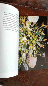 หนังสือรวมสุดยอด กล้วยไม้พันธุ์แท้ (หาดูยาก)