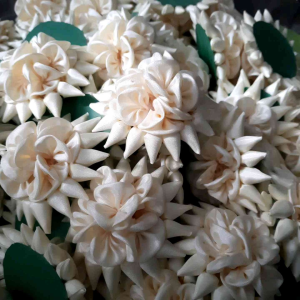 Melati Ceplok mawar putih 1 pcs