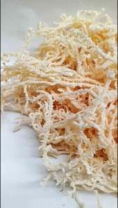 1Kg Rumput Laut Es Campur Bisa Juga Untuk Agar-agar