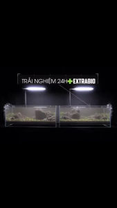 Vi Sinh Extra Bio Làm Trong Nước Bể Cá Cảnh Chai 125ml 250ml 500ml 1000ml