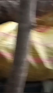 Củ bac hà núi 10kg