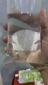 Kutu air Moina untuk Starer 1 bag 1 scoop