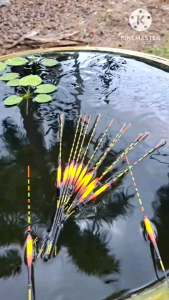 ทุ่นรั้งขนนกหางกระเบนบอดี้4มิลยาว5ซม.ยาวรวม22ซม.