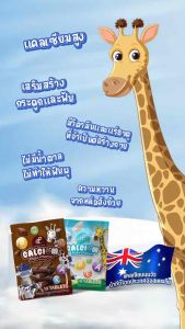 3ซอง 30เม็ด - Pananchita ปนันชิตา แคลเซียม นมอัดเม็ดแคลเซียม ราคาพิเศษเฉพาะเดือนนี้เท่านั้น