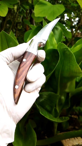 Pisau grafting okulasi BAJA HSS  pisau cangkok TAJAM