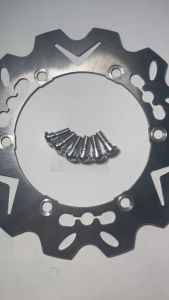 Đĩa braking 256mm (Winer Sh300i)