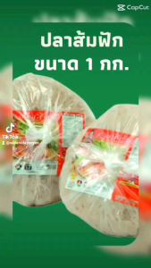 ปลาส้มฝักป้าแอ๊ว สินค้าโอทอปห้าดาวลพบูรี มาตรฐาน GMP ต้นตำรับมากกว่า 40 ปี สด ใหม่ พร้อมส่งคะ