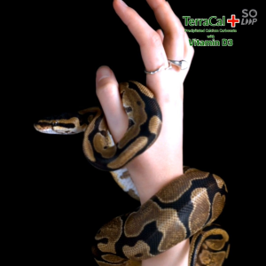 TerraCal + Precipitated Calcium Carbonate with Vitamin D3 35 grams