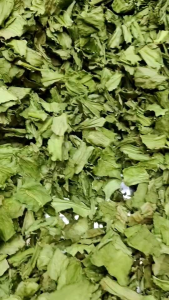 ผักชีฝรั่ง ผักชีใบเลื่อย ผักชีใบหยัก ผักชีฝรั่งแห้ง ขนาด 5 กรัม