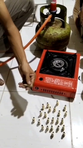 Nikita Nepel Portable Gas Stove Kamping ke Lpg 3kg