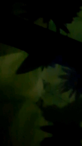 Buket Kupu-kupu LED/buket wisuda/buketmurah