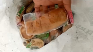 Roti BS/roti kadaluarsa untuk pakan ternak dan manggot