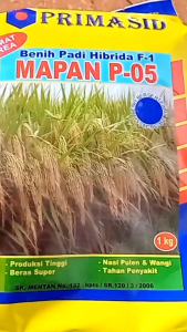 BENIH PADI HIBRIDA MAPAN P05 ORIGINAL KEMASN 3KG