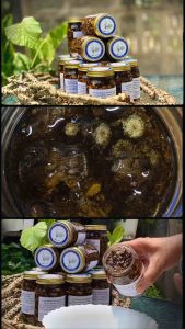 บอระเพ็ดแช่น้ำผึ้ง สูตรดั้งเดิม บำรุงไก่ชน ปริมาณ 250 ML. (ประมาณ 150 ชิ้น) และ 500 ml. (ประมาณ 300 ชิ้น)