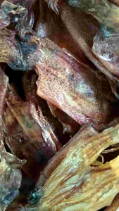 🐙🐙หมึกกะตอย เรือไดร์ หมึกสวย เนื้อหนา แห้งสนิท ไม่ขม ไม่เค็ม ไม่เหม็นหื่น ทำสดใหม่ทุกวัน🦑🦑